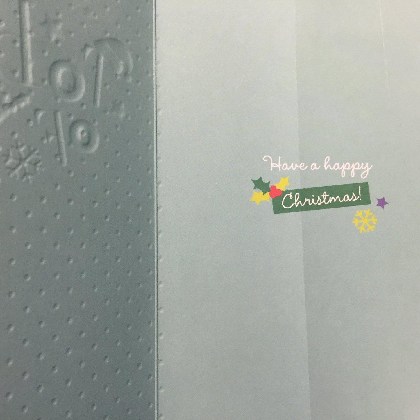 TO BOTH OF YOU at Christmas Christmas Greetings Card