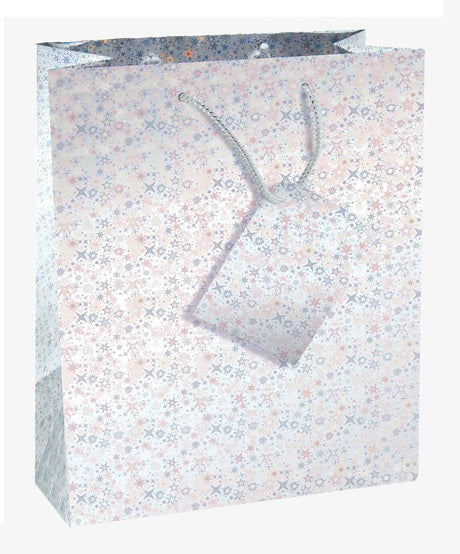 Pack of 12 Large Assorted Coloured Holographic Gift Bags