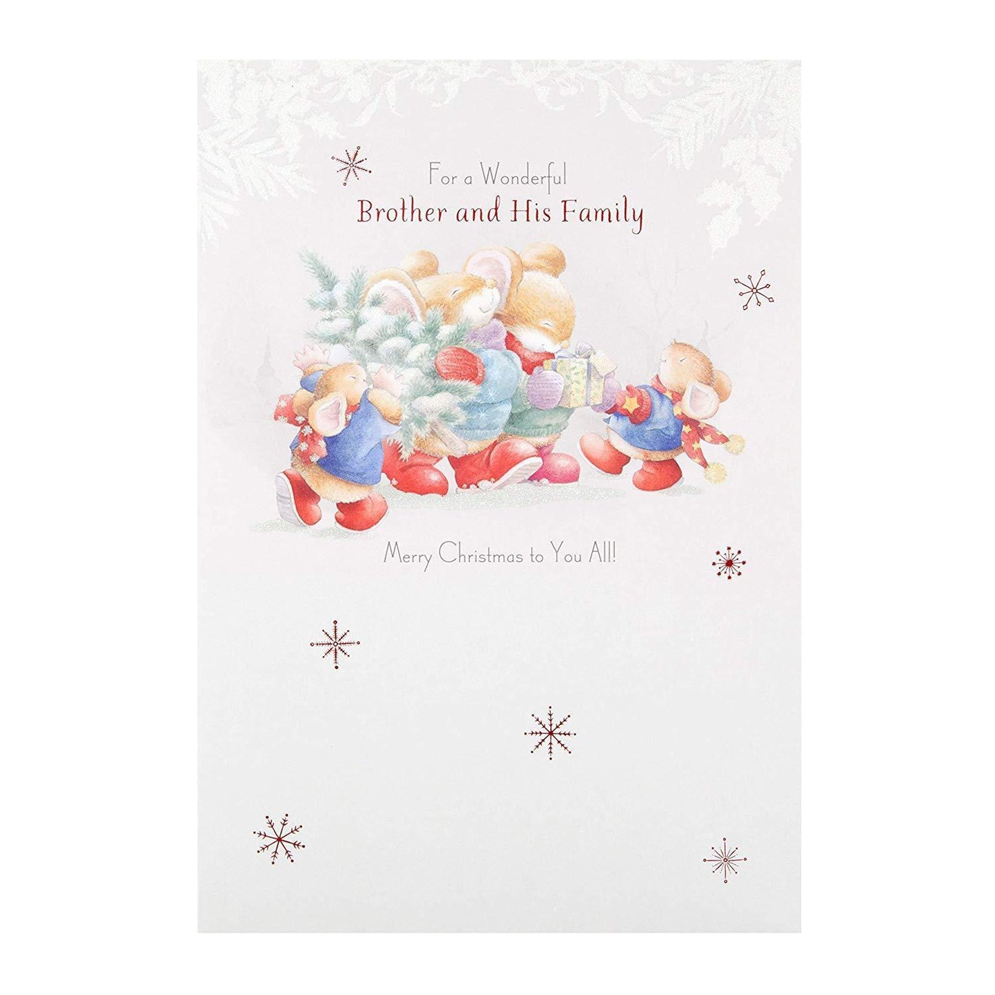 Wonderful Brother and Family Christmas Card 'Magical'