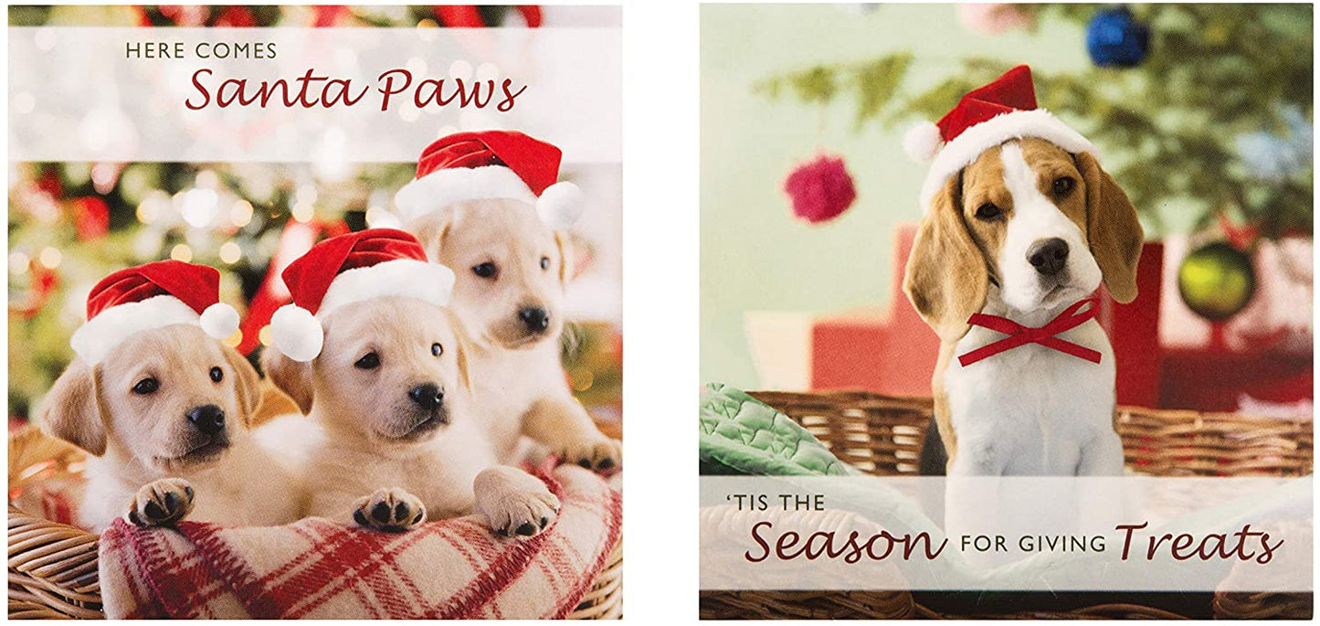 Mini Photographic Charity Christmas Cards, In 2 Designs, Pack of 30