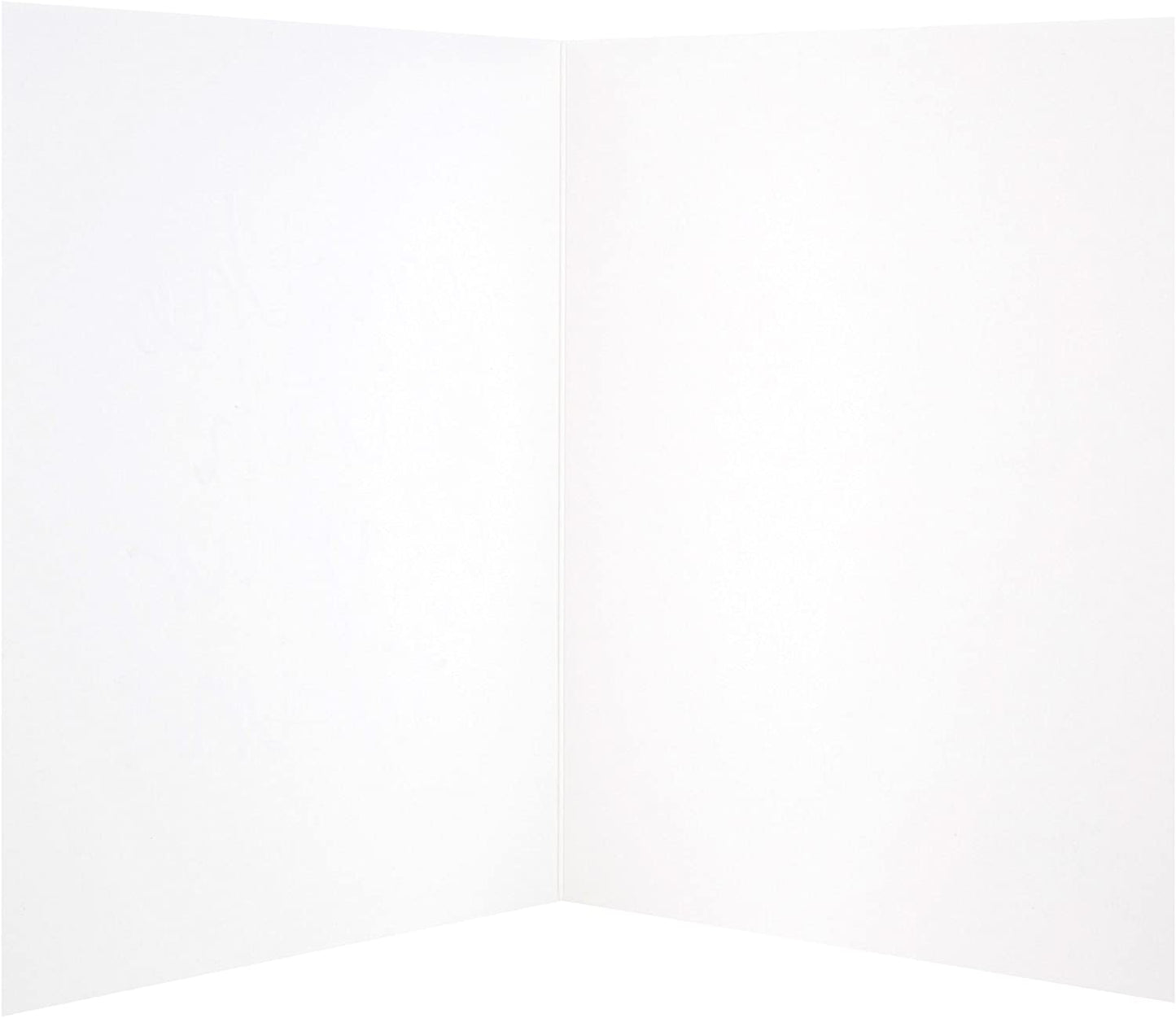 Wishes On the birth of their Twins with Foiled Finish Congratulation Card