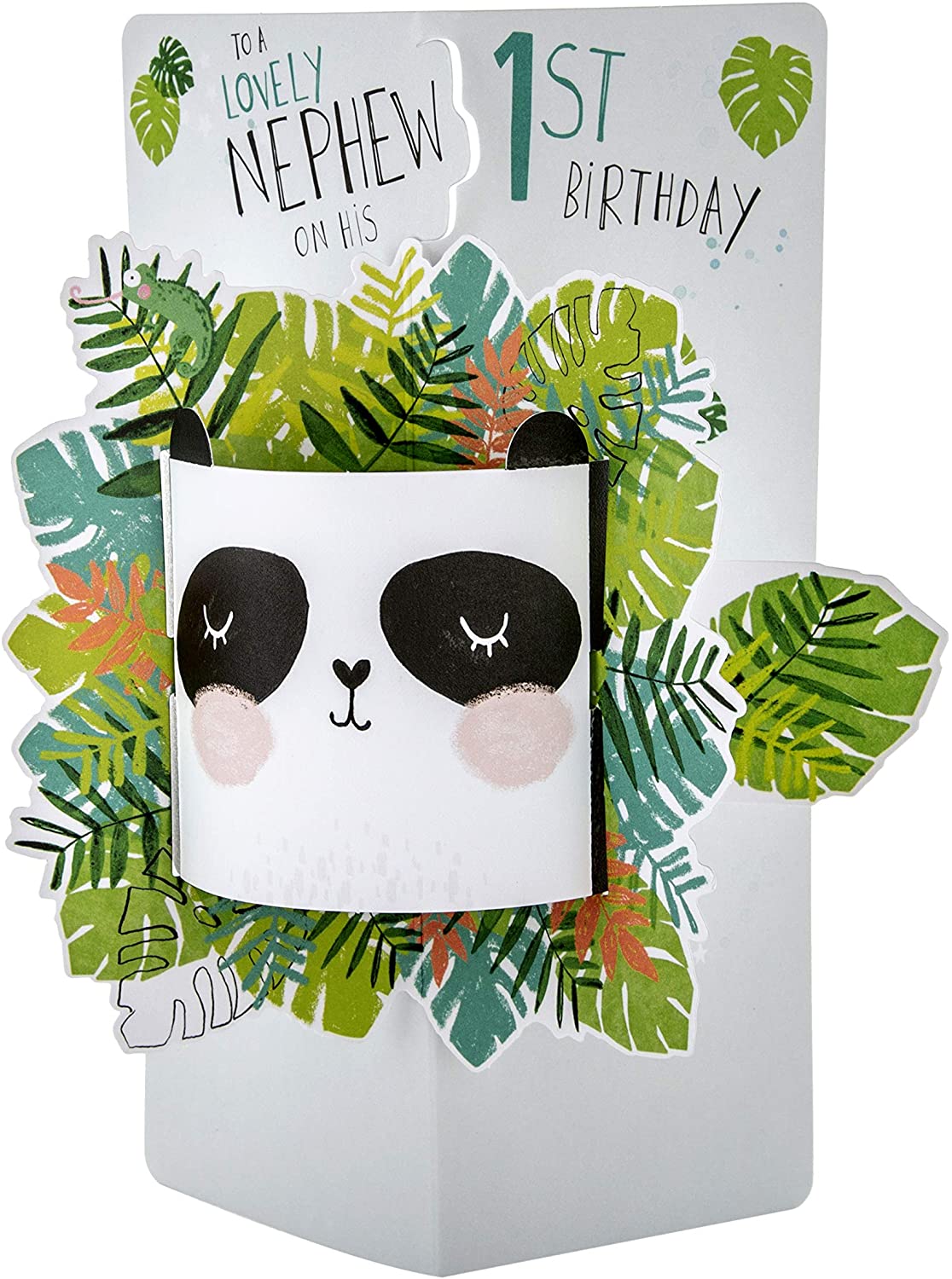 To a Lovely Nephew Cute Panda Design 1st Birthday Card