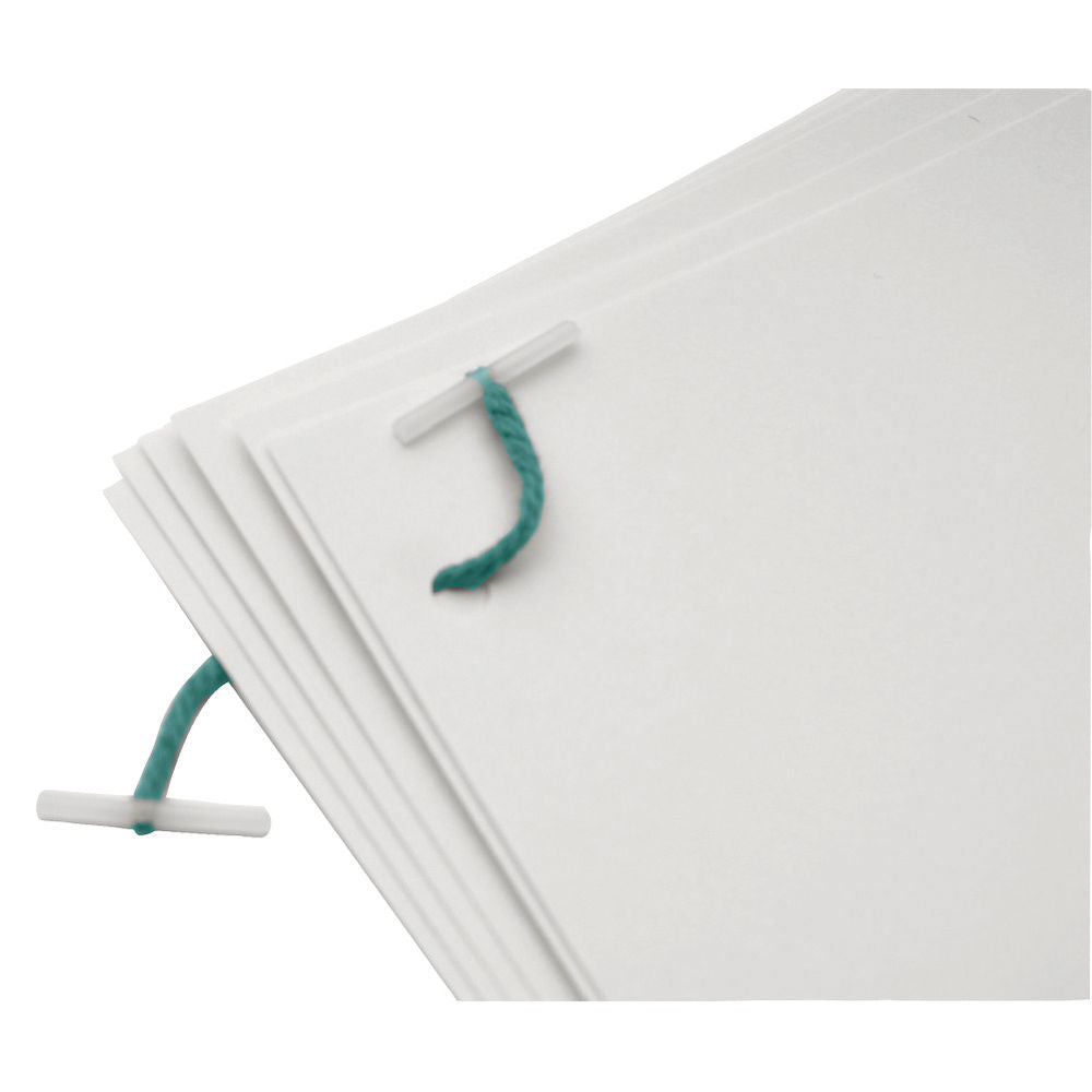 Pack of 100 101mm Plastic Treasury Tags