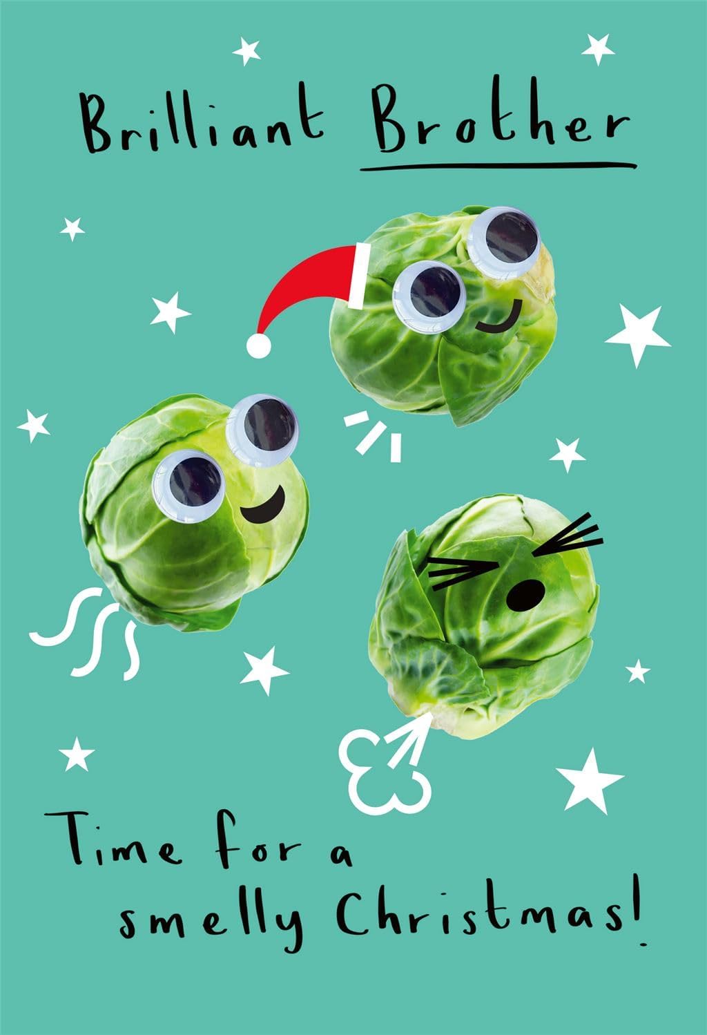 Time for Smelly Brother Christmas Card