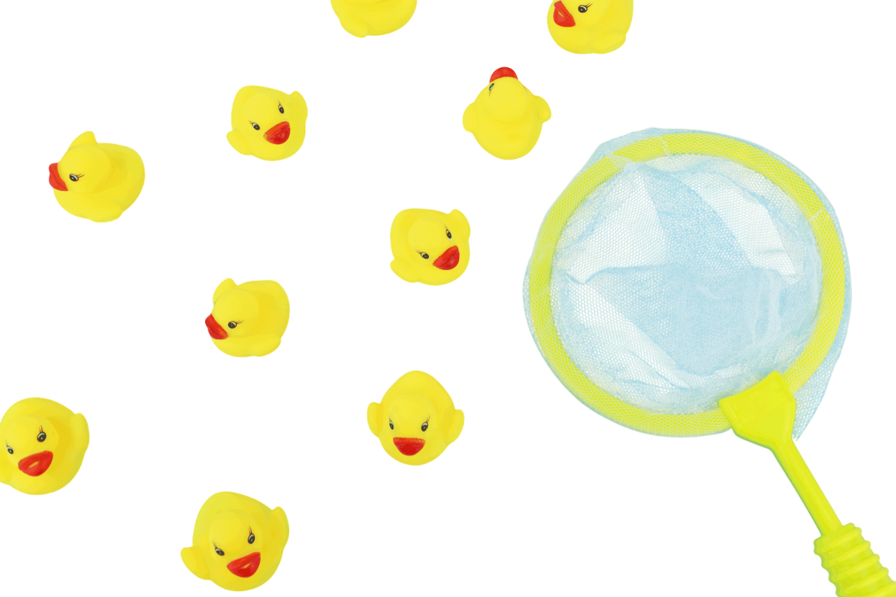 Pack of 5 Pieces Ducks with Net