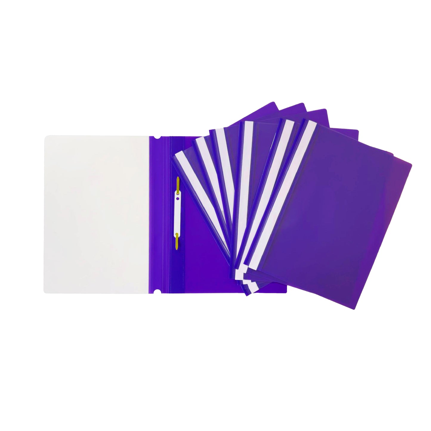 Pack of 12 Purple A4 Project Folders by Janrax