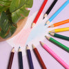 12 Half Sized Coloured Pencils