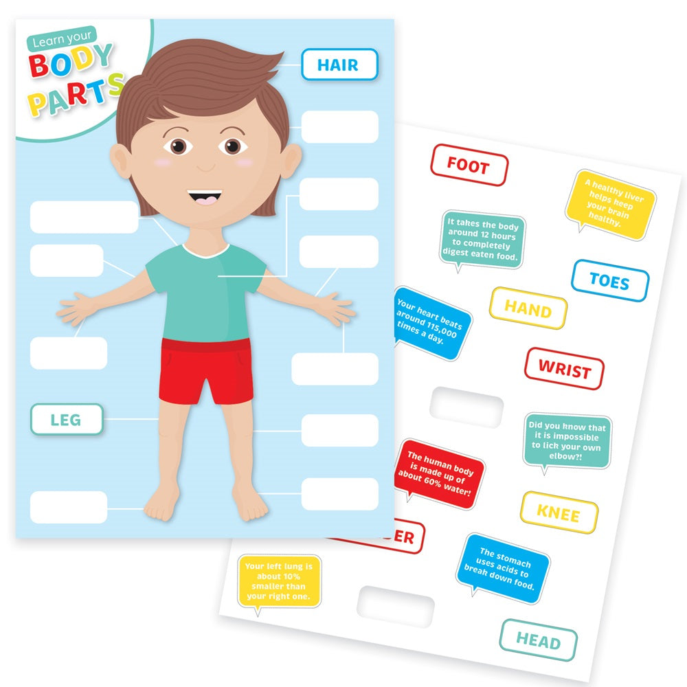 Learn Your Body Creative Kids Craft Set