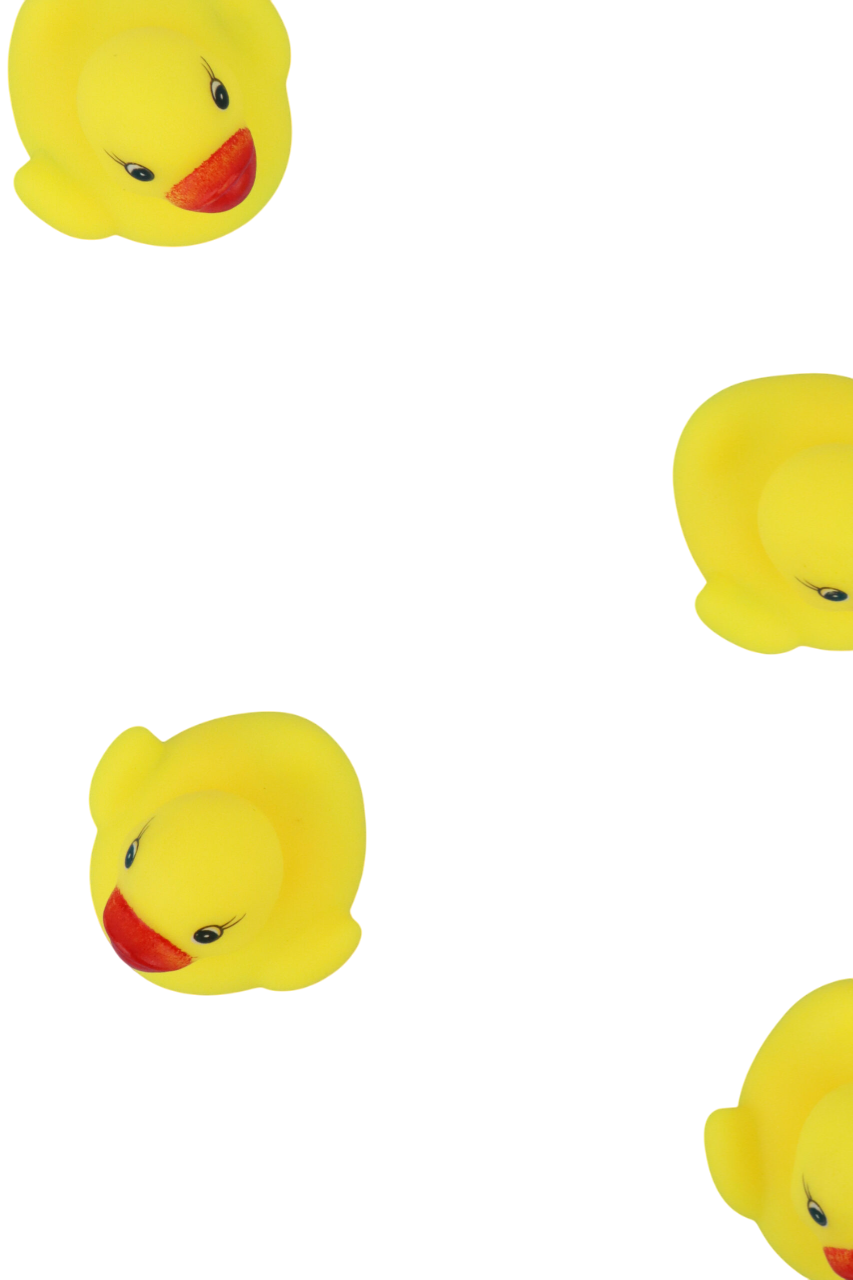 Pack of 5 Pieces Ducks with Net