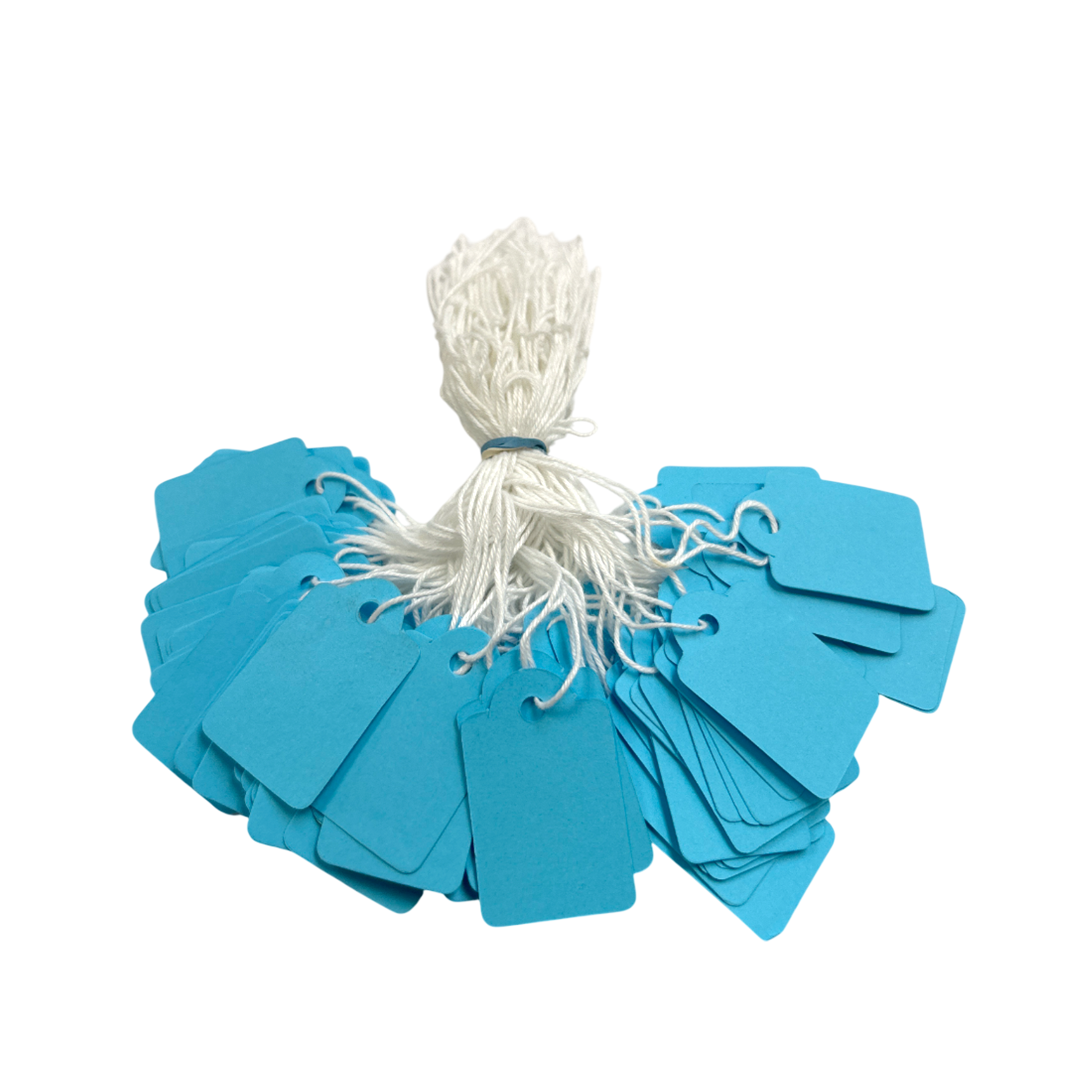 Pack of 600 Medium Blue Strung Tags 25 x 39mm– Choice Wholesale
