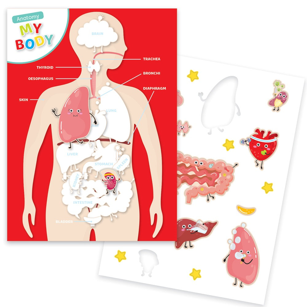 Learn Your Body Creative Kids Craft Set