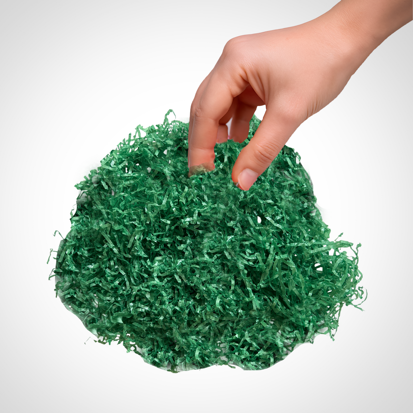 12 Packs of Dark Green Tissue Shred 20g - Total 240g