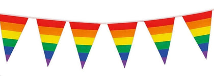 Gay Pride Bunting 10m with 20 Pennants