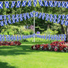 Scotland Rectangle Bunting 10m with 20 Flags