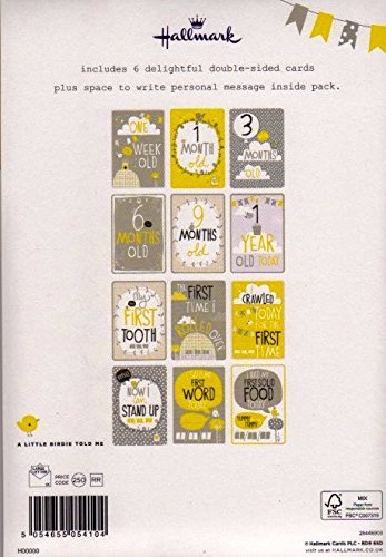 Baby Milestone Hallmark New Cards 6 double sided printed. 
