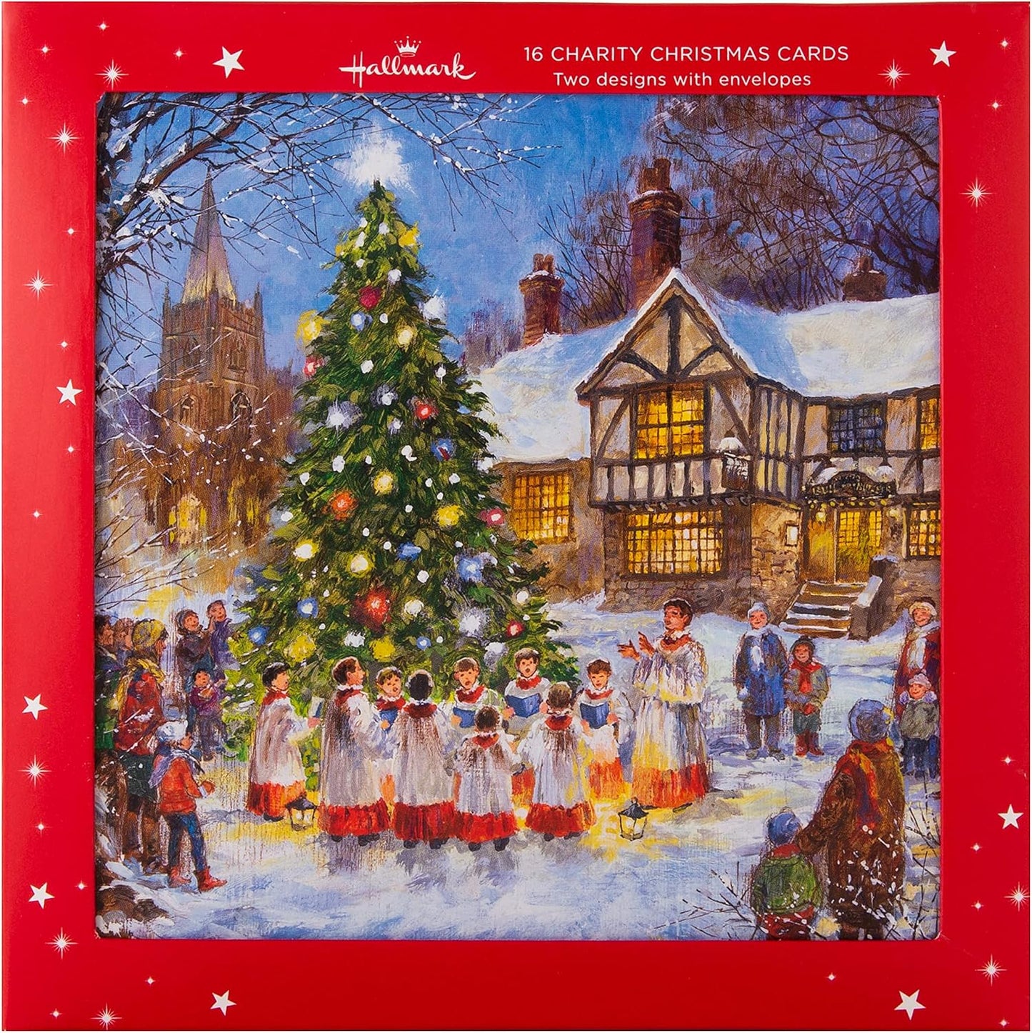 Festive Scene 16 Pack 2 Designs Charity Christmas Cards