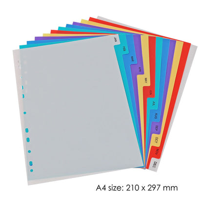 A4 Jan-Dec Month Coloured Tab Index Dividers - January to December