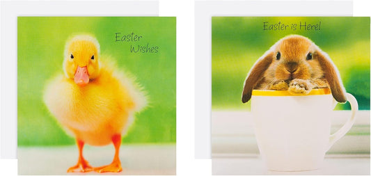 Baby Chicks & Rabbit Pack of 10 in 2 Designs Charity Easter Cards