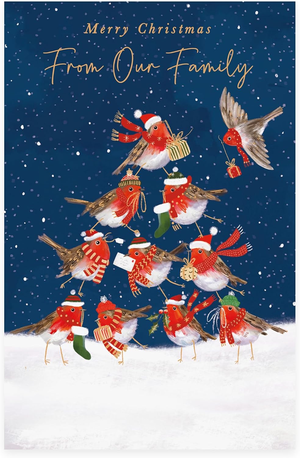 Robins Design From Our Family Christmas Card