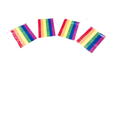 Rainbow Pride Bunting Rectangle 10m with 20 Pennants