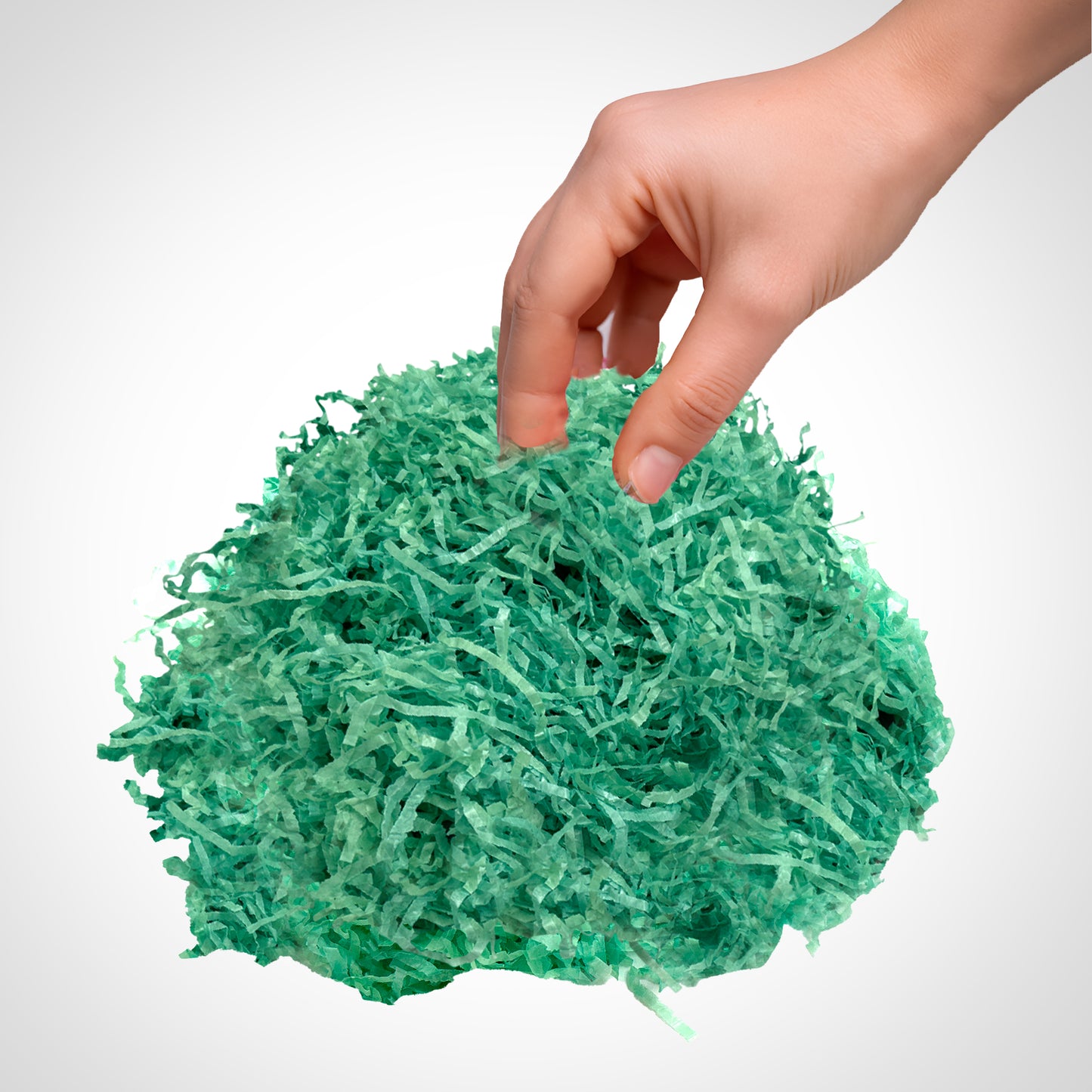 12 Packs of Light Green Tissue Shred 20g - Total 240g