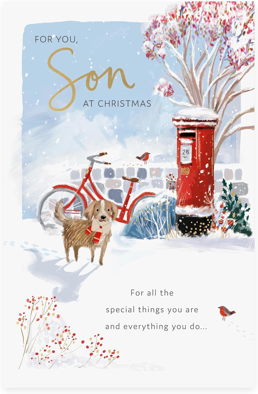 Dog and Postbox Design Son Christmas Card