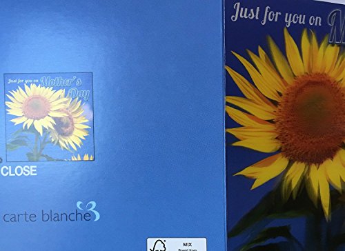 3D Holographic Just for you on Mother's Day BEAUTIFUL BRIGHT COLOURFUL SUNFLOWERS Mother's Day Greetings Card 