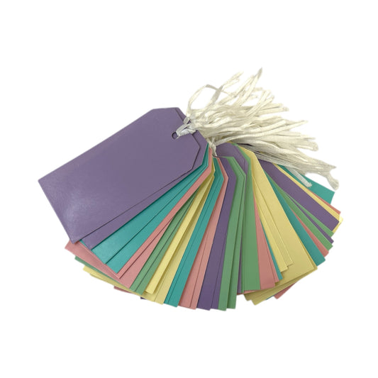 Pack of 100 Assorted Pastel Colour 120x60mm Strung Tags