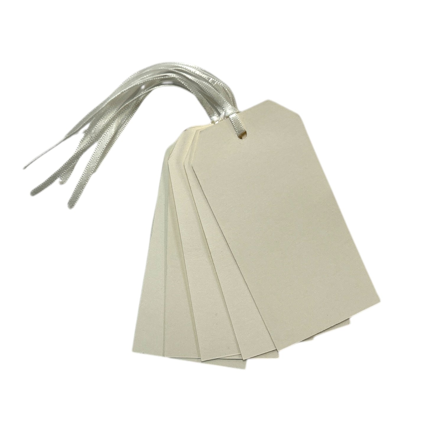 Pack of 10 Assorted Pastel Colour 120x60mm Strung Tags