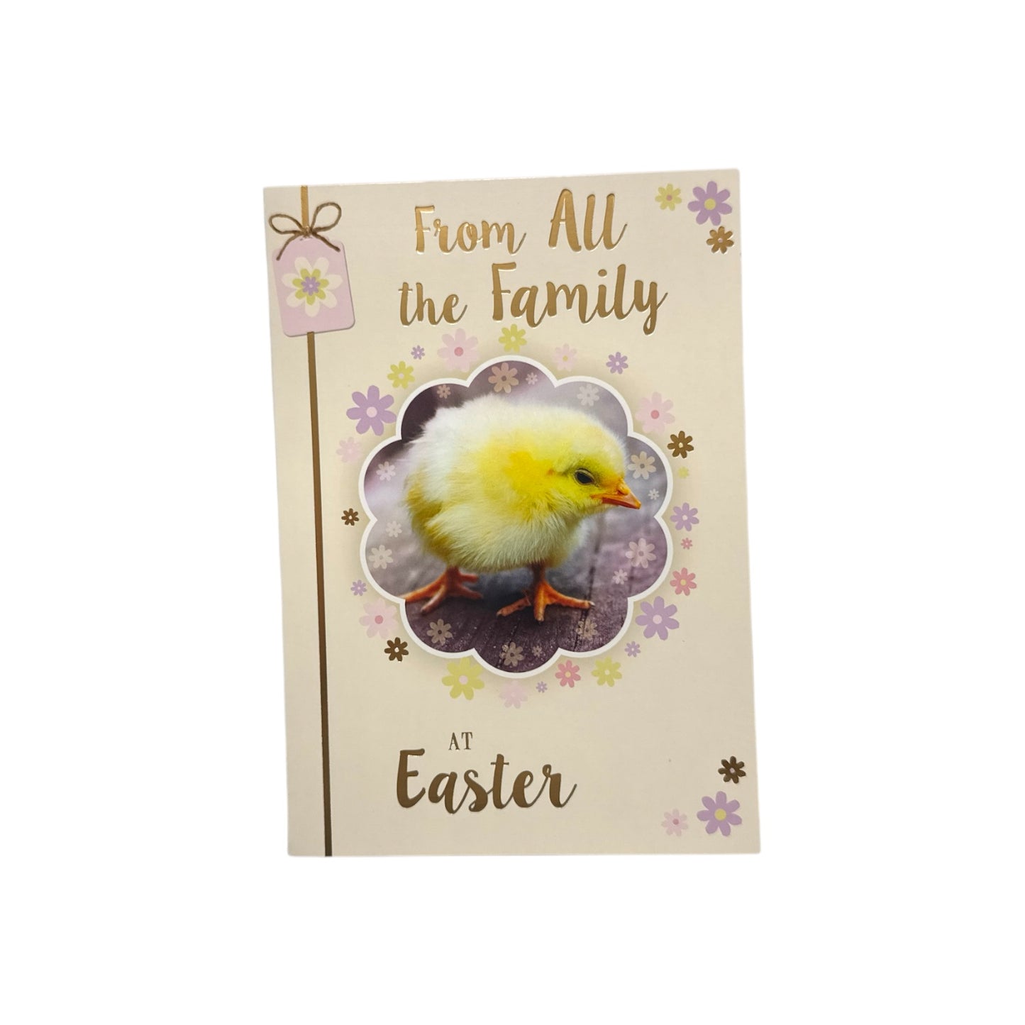 From All The Family Chick Design Happy Easter Card