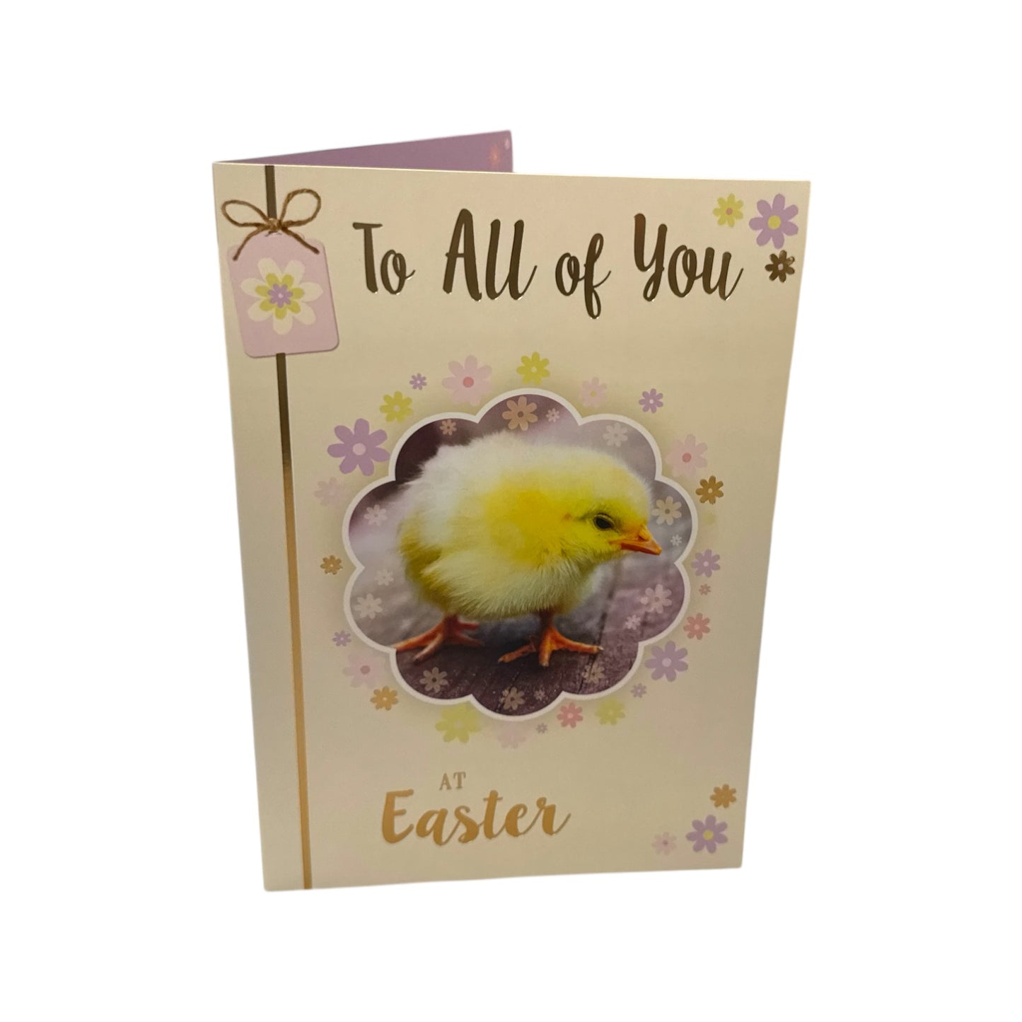 To All Of You Adorable Chick Design Happy Easter Card
