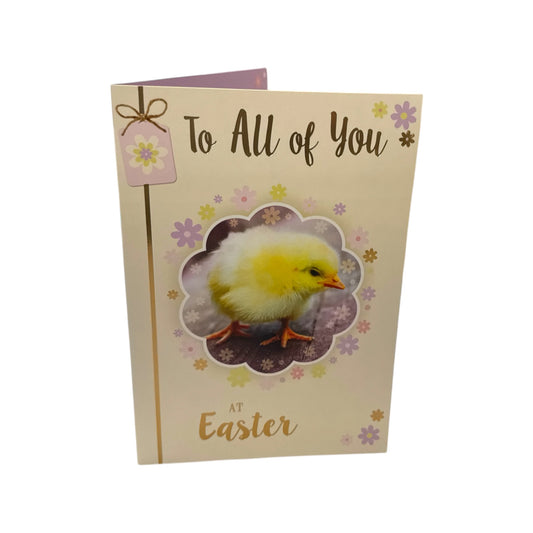 To All Of You Adorable Chick Design Happy Easter Card