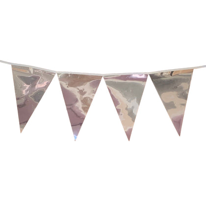 Metallic Silver Bunting 10m with 20 Pennants