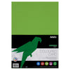 Pack of 50 Sheets A4 Parrot Green 160gsm Card by Premier Activity