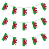 Wales Bunting 10m with 20 Flags