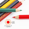 Pack of 12 Half Colouring Pencils
