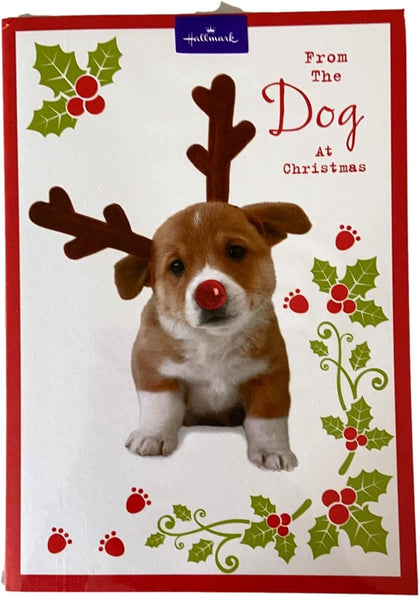 6 x Cards from The Dog at Christmas Card from pet 