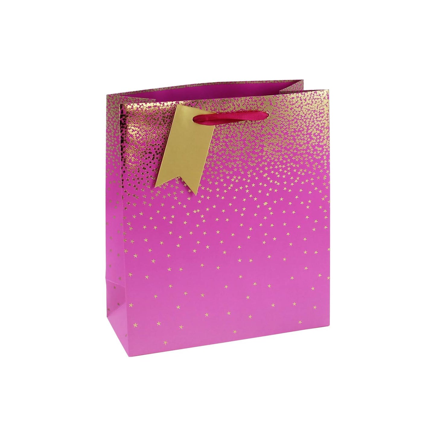 Pink Ombre Medium Gift Bag