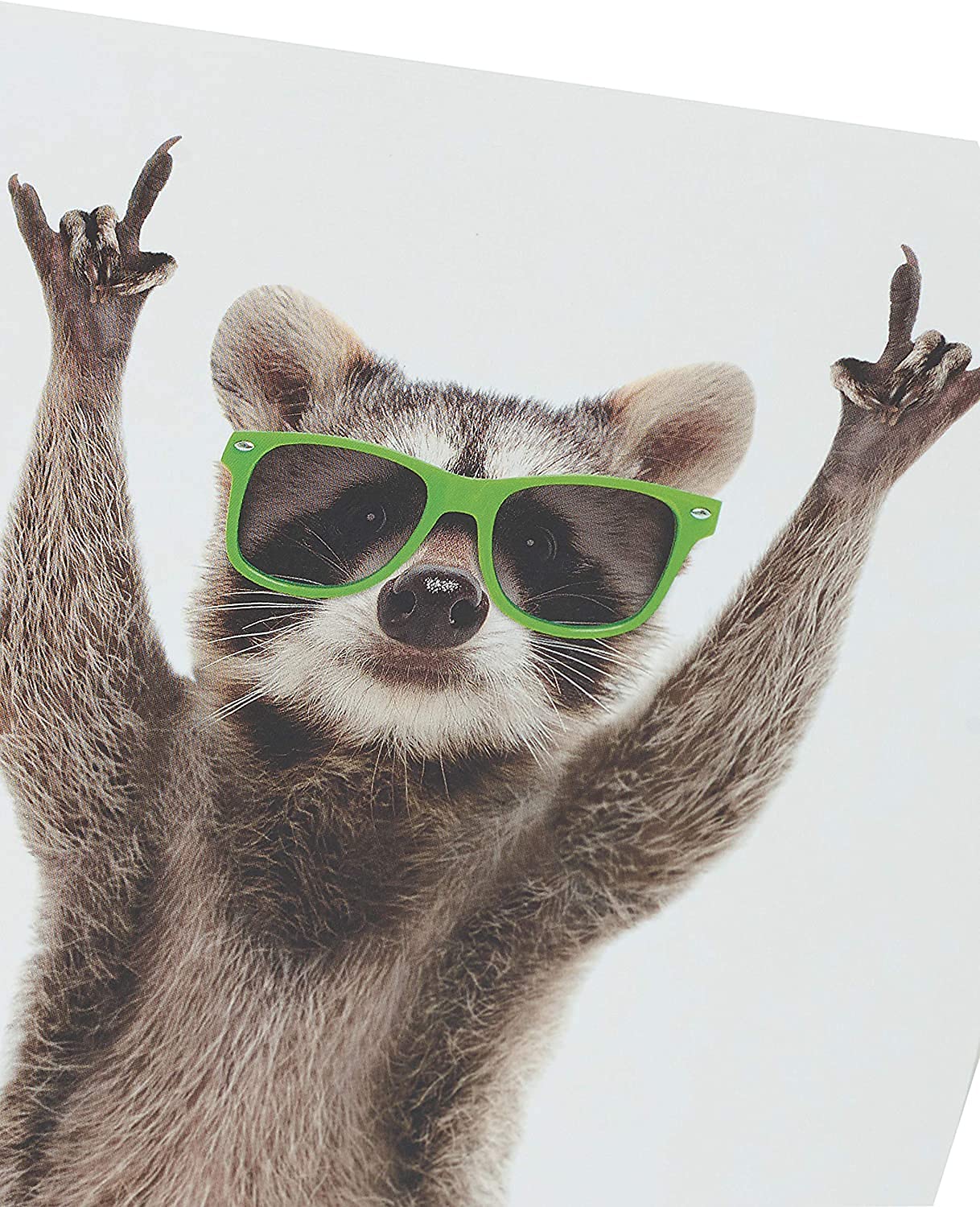 Rock n Roll Raccoon Funny Animal Blank Greeting Card
