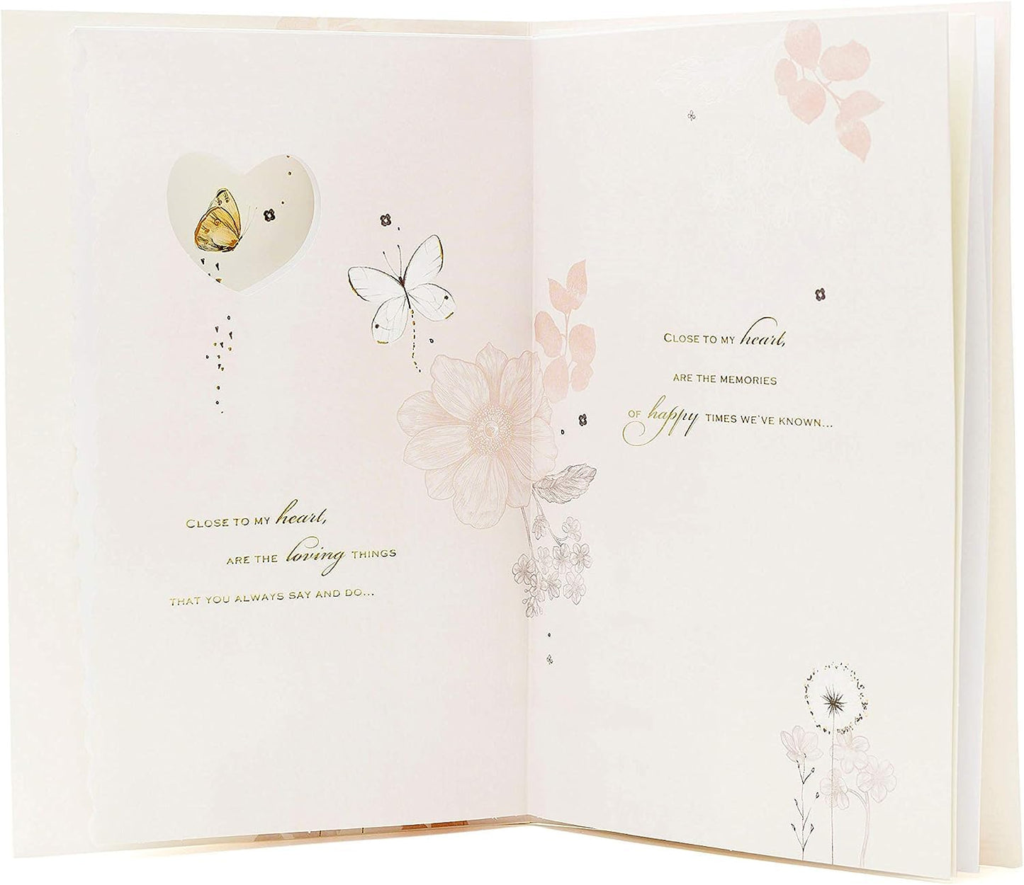 Butterflies Design Wife Birthday Card