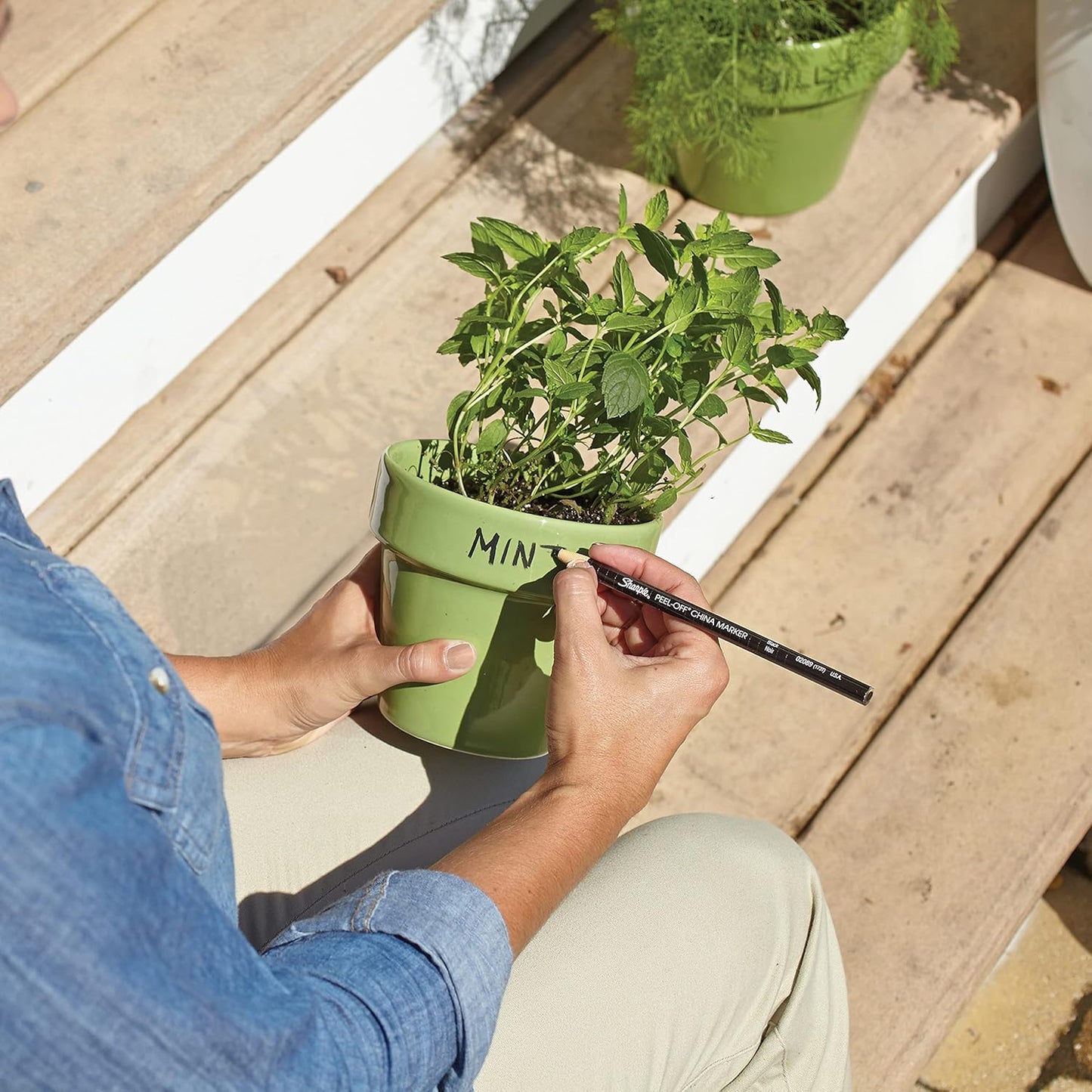 Pack of 12 Sharpie China Black Markers