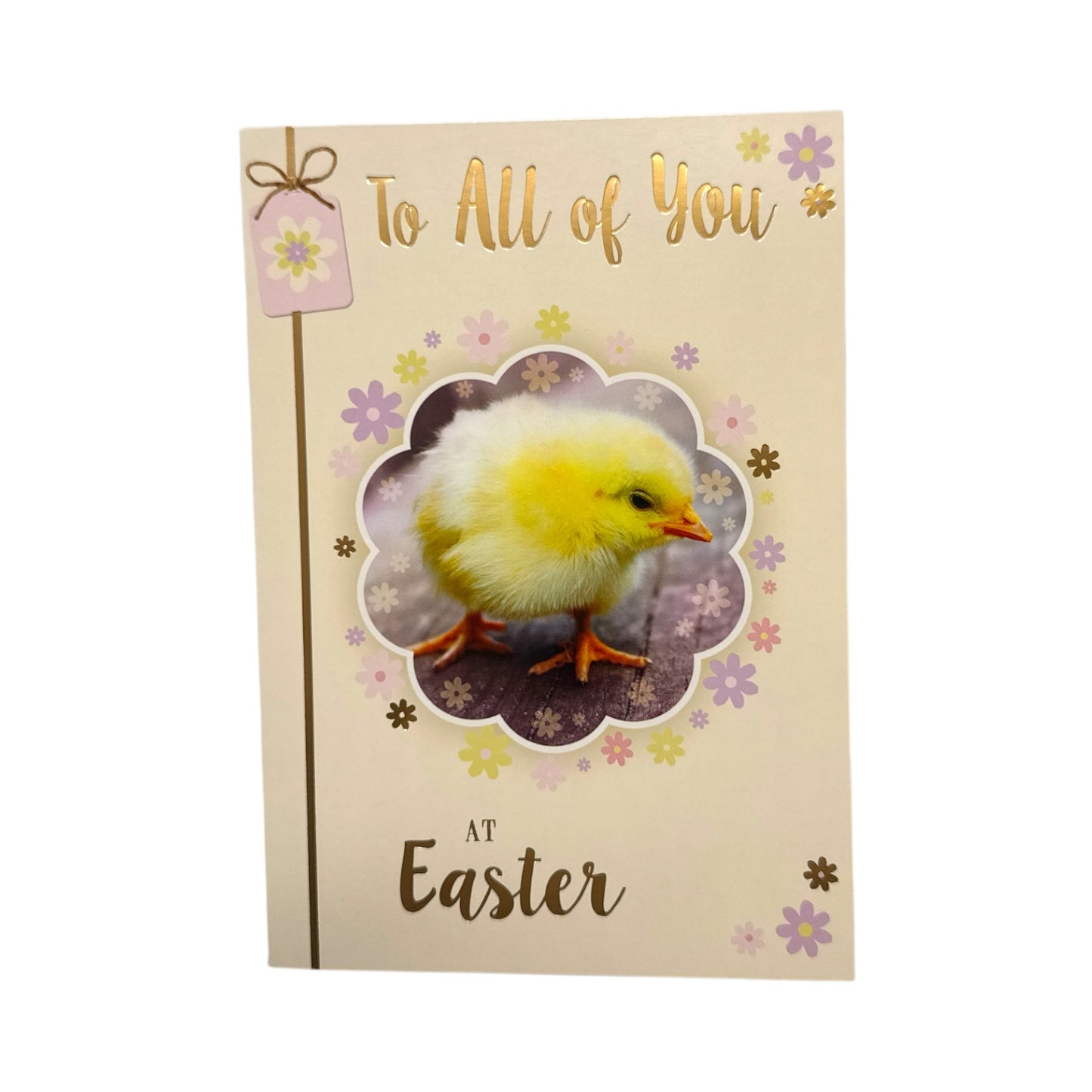 To All Of You Adorable Chick Design Happy Easter Card