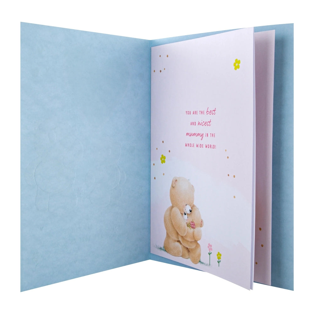 Forever Friends Design & Gift Box Luxury Boxed Mummy Mother's Day Card