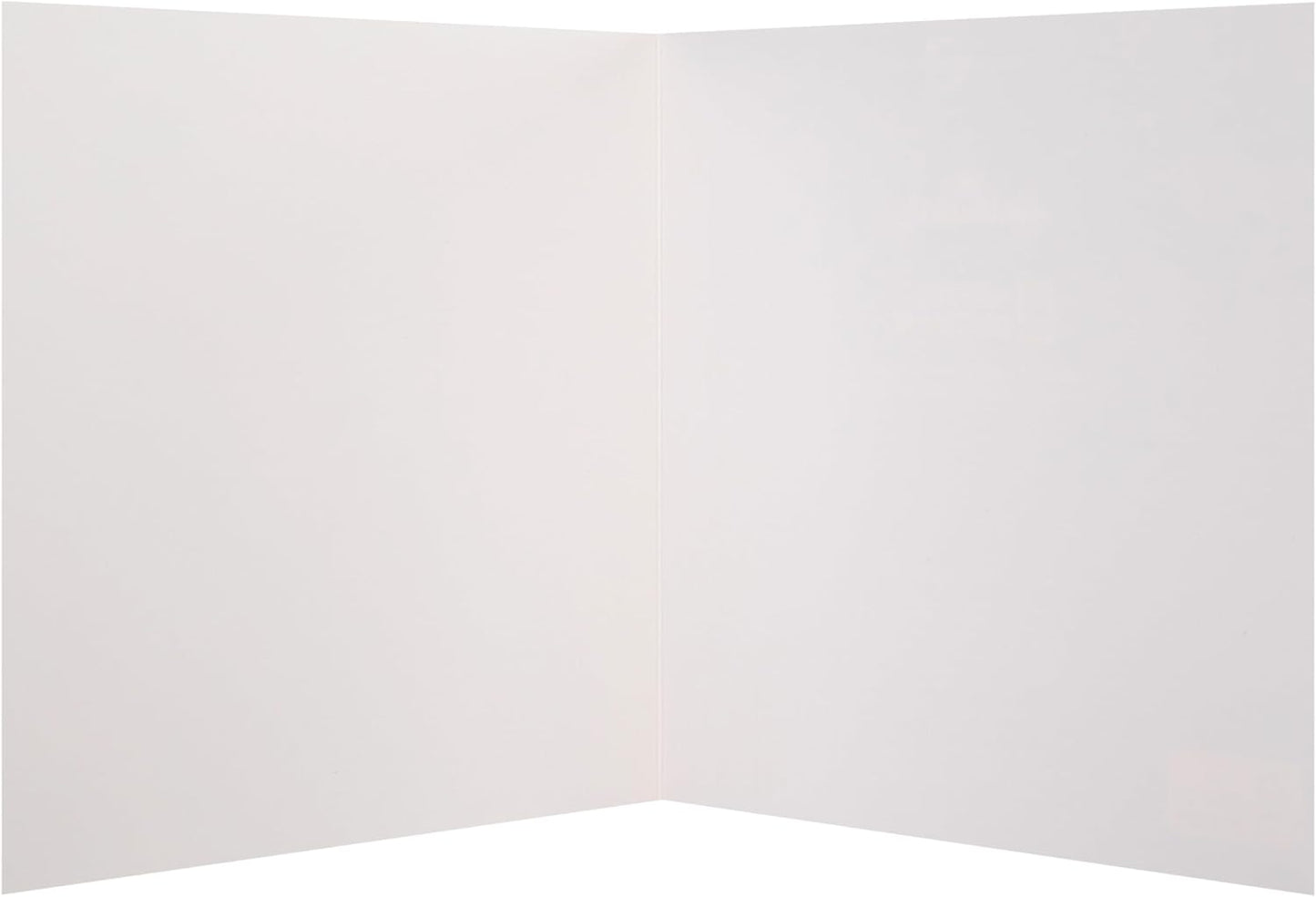 National Geographic Photographic Animals Pack of 10 in 5 Designs Birthday Thank You Blank Cards