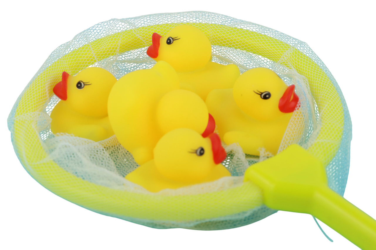 Pack of 5 Pieces Ducks with Net