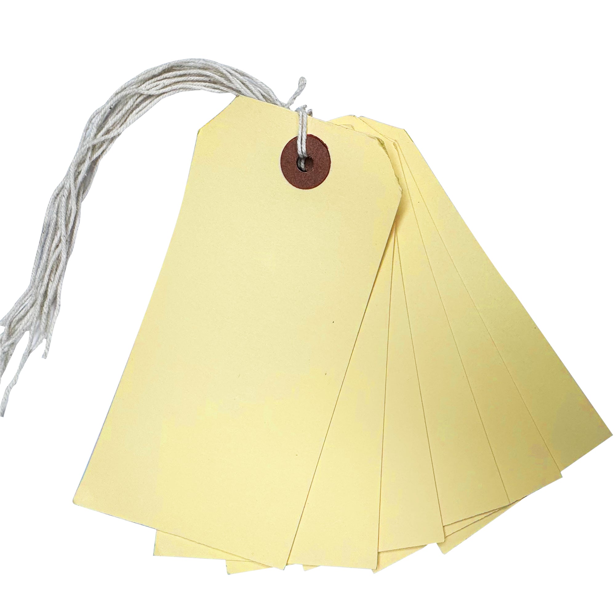 Stringed Tags Box of 1000 Ivory Strung Tags 120mm x 60mm– Choice Wholesale