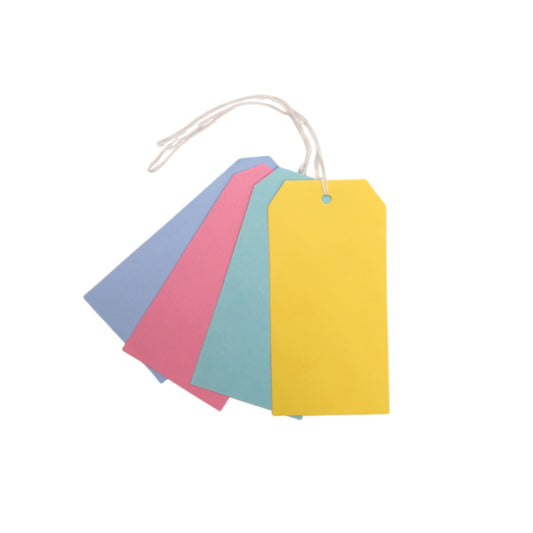 Pack of 30 Assorted Colour Luggage Strung Tags 75 x 135mm