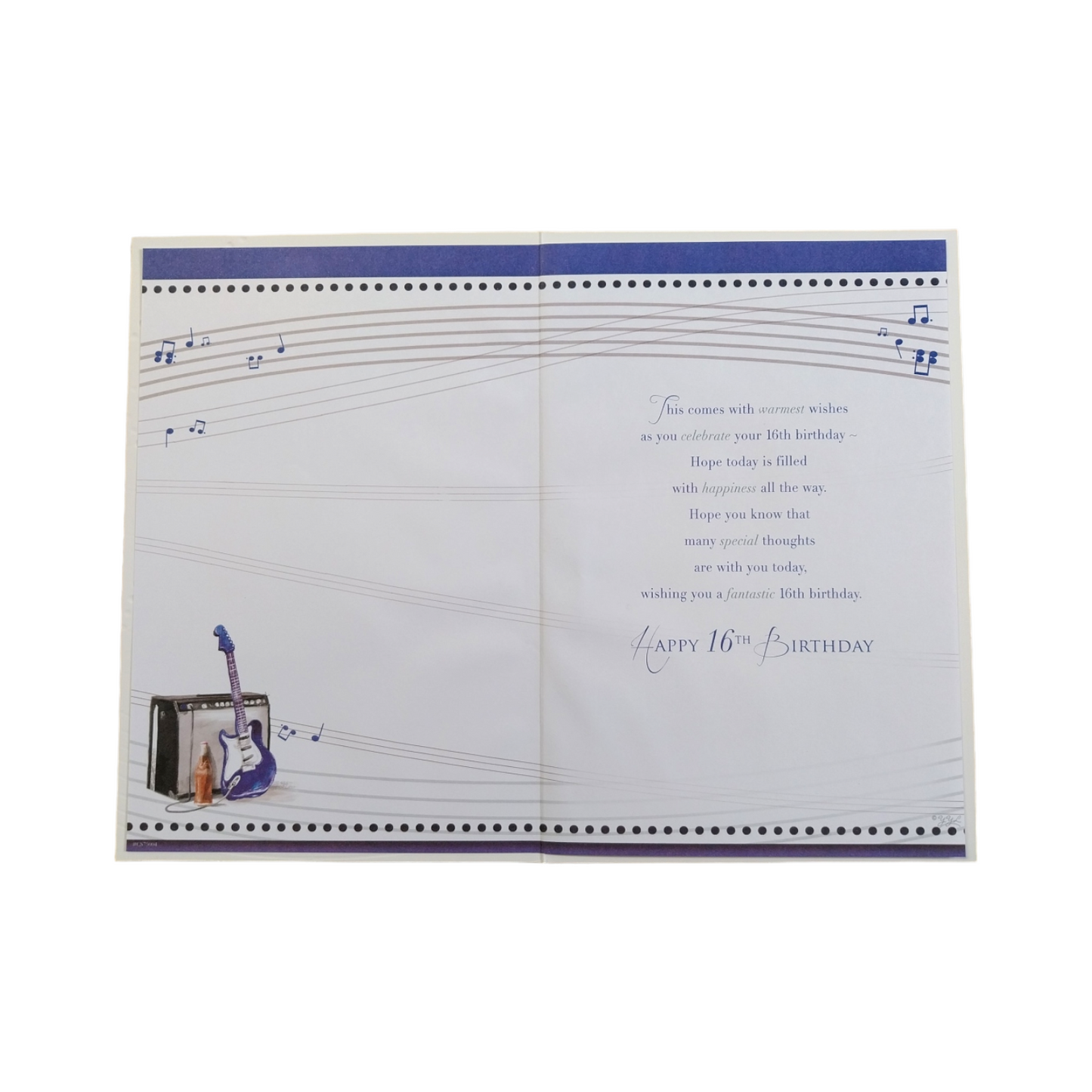 Enjoy Your 16th Birthday Open Male Celebrity Style Card