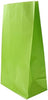 Pack of 12 Lime Green Paper Party Bags