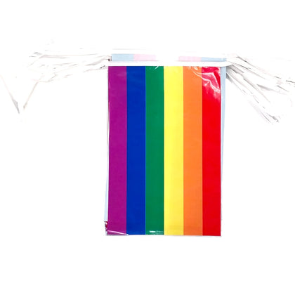 Rainbow Pride Bunting Rectangle 10m with 20 Pennants